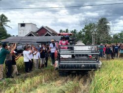 Panen Raya di Toribulu, Erwin Burase Ajak Petani Terus Berinovasi