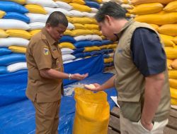 Bapanas Tinjau Mutu Beras Bantuan di Parigi Moutong