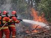 Dua Desa di Parigi Barat Alami Kebakaran Hutan dan Lahan