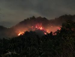 Puluhan Hektare Lahan Warga Terbakar