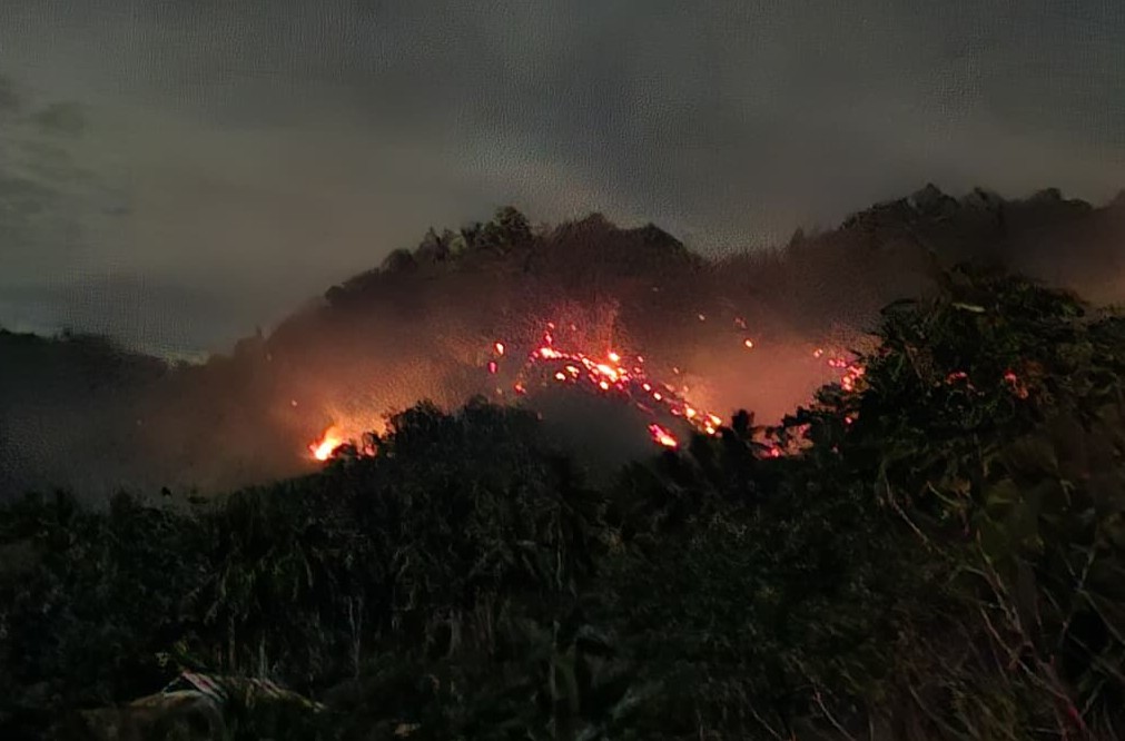 Puluhan Hektare Lahan Warga Terbakar