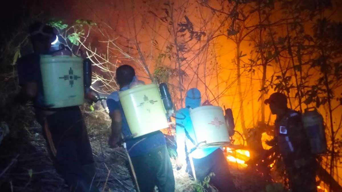 Karhutla di Kasimbar Meluas, Petugas Berjibaku Memadamkan Api