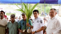 Kementan Perkuat Perkebunan Kelapa di Parigi Moutong