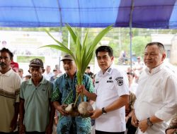 Kementan Perkuat Perkebunan Kelapa di Parigi Moutong