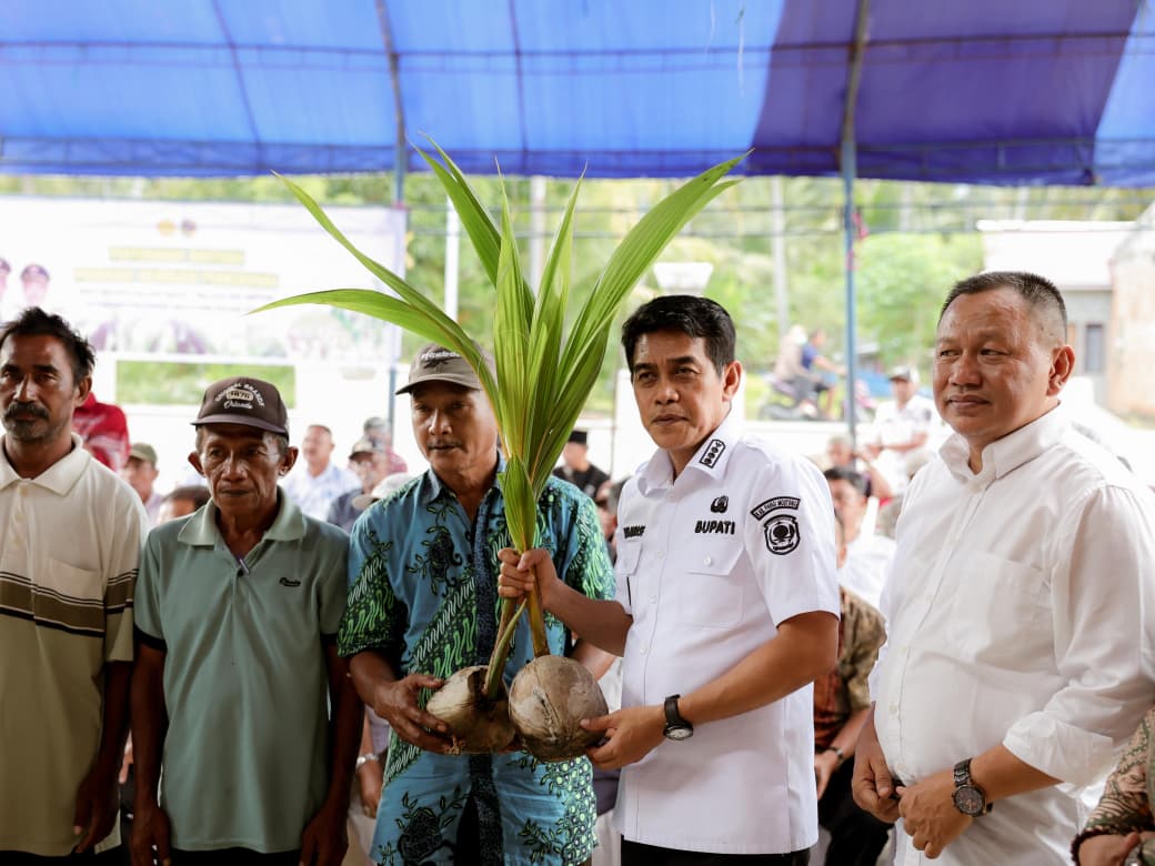 Kementan Perkuat Perkebunan Kelapa di Parigi Moutong