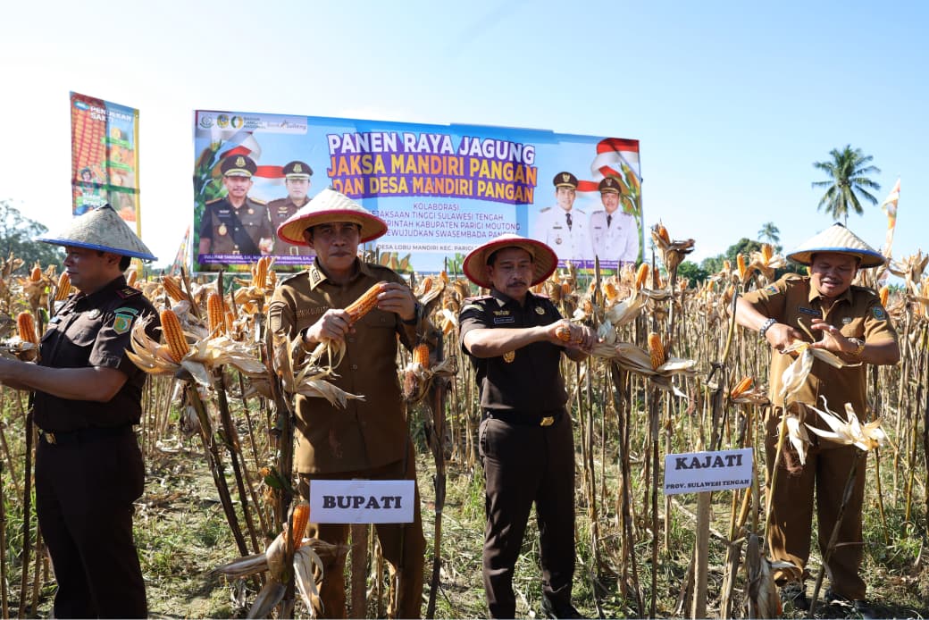 Erwin Burase Targetkan Produksi Jagung Daerah Kembali Meningkat