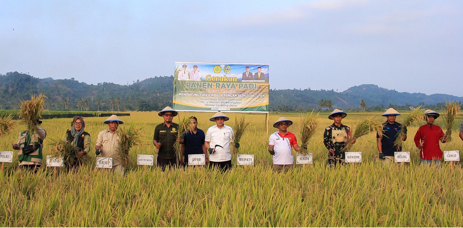 Bantuan Benih M70D Diproyeksikan Perkuat Pangan Daerah