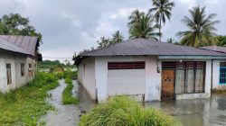Tiga Desa di Kecamatan Kasimbar Terendam Banjir