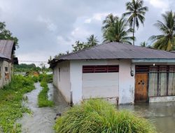 Tiga Desa di Kecamatan Kasimbar Terendam Banjir
